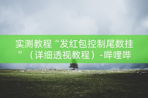 实测教程“发红包控制尾数挂”（详细透视教程）-哔哩哔哩
