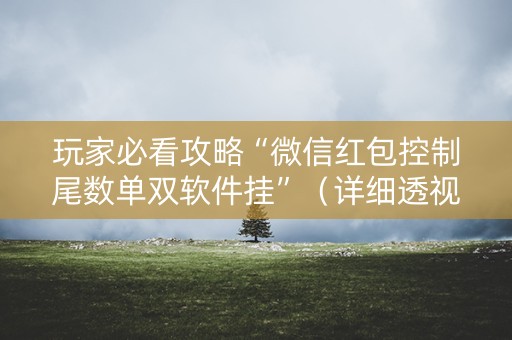 玩家必看攻略“微信红包控制尾数单双软件挂”（详细透视教程）-哔哩哔哩