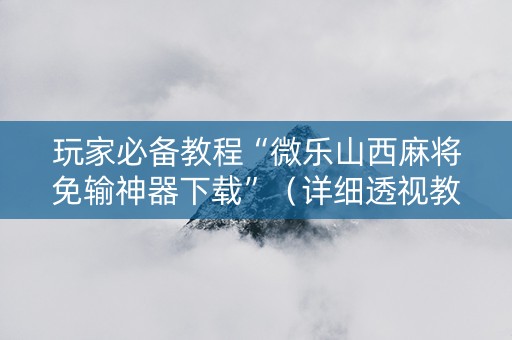 玩家必备教程“微乐山西麻将免输神器下载”（详细透视教程）-哔哩哔哩