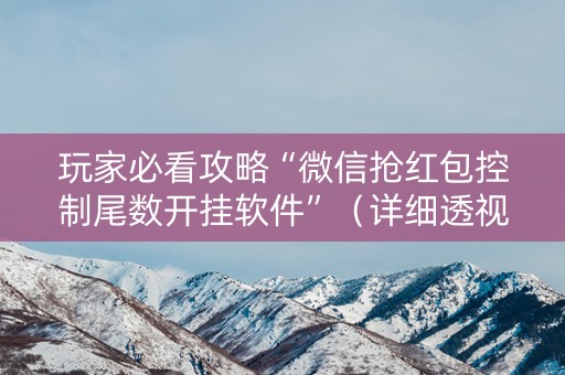 玩家必看攻略“微信抢红包控制尾数开挂软件”（详细透视教程）-哔哩哔哩