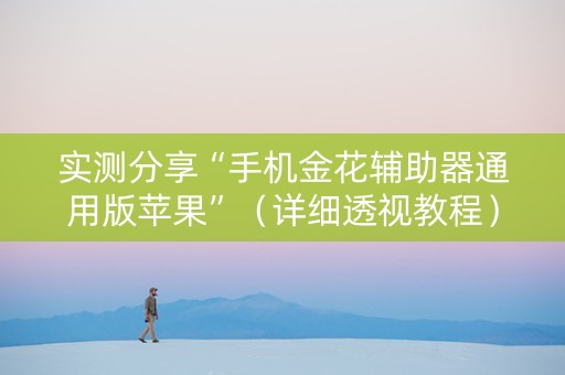 实测分享“手机金花辅助器通用版苹果”（详细透视教程）-哔哩哔哩
