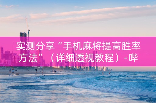 实测分享“手机麻将提高胜率方法”（详细透视教程）-哔哩哔哩