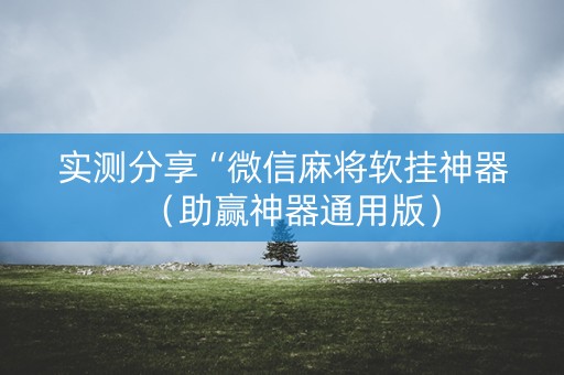 实测分享“微信麻将软挂神器（助赢神器通用版）