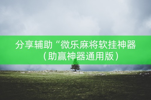 分享辅助“微乐麻将软挂神器（助赢神器通用版）