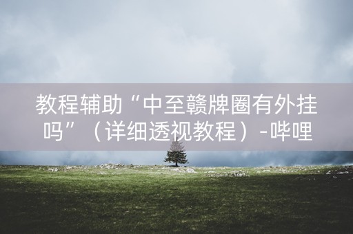 教程辅助“中至赣牌圈有外挂吗”（详细透视教程）-哔哩哔哩