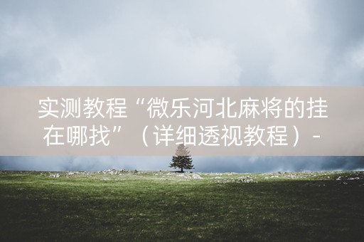 实测教程“微乐河北麻将的挂在哪找”（详细透视教程）-哔哩哔哩