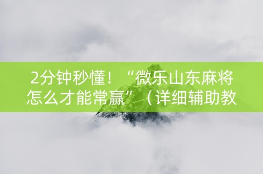 2分钟秒懂！“微乐山东麻将怎么才能常赢”（详细辅助教程）-哔哩哔哩