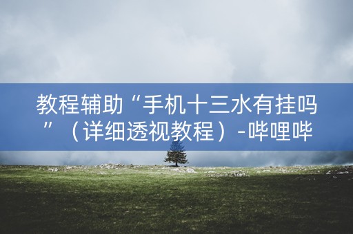 教程辅助“手机十三水有挂吗”（详细透视教程）-哔哩哔哩