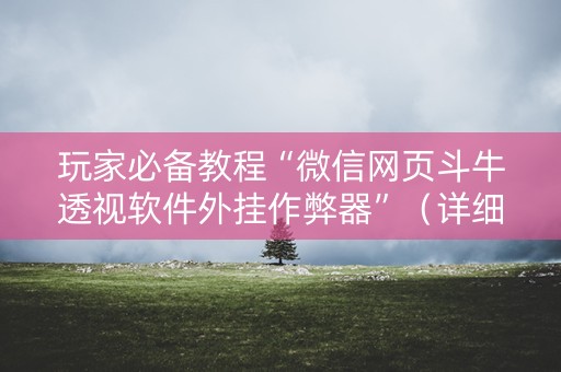 玩家必备教程“微信网页斗牛透视软件外挂作弊器”（详细透视教程）-哔哩哔哩