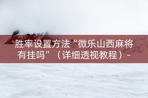 胜率设置方法“微乐山西麻将有挂吗”（详细透视教程）-哔哩哔哩