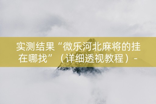 实测结果“微乐河北麻将的挂在哪找”（详细透视教程）-哔哩哔哩