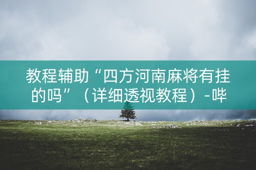 教程辅助“四方河南麻将有挂的吗”（详细透视教程）-哔哩哔哩