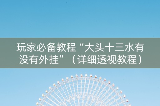 玩家必备教程“大头十三水有没有外挂”（详细透视教程）-哔哩哔哩