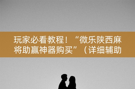 玩家必看教程！“微乐陕西麻将助赢神器购买”（详细辅助教程）-哔哩哔哩