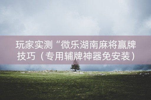 玩家实测“微乐湖南麻将赢牌技巧（专用辅牌神器免安装）