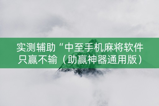 实测辅助“中至手机麻将软件只赢不输（助赢神器通用版）