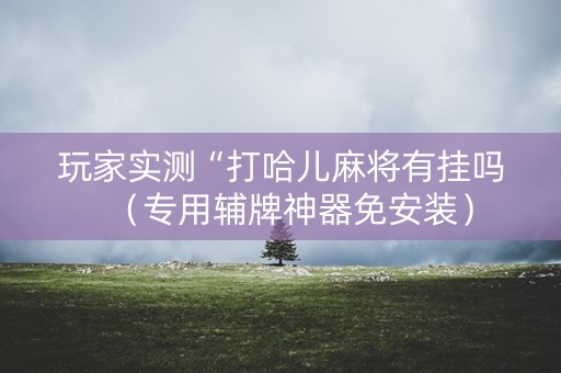 玩家实测“打哈儿麻将有挂吗（专用辅牌神器免安装）