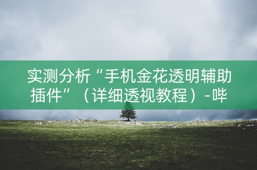 实测分析“手机金花透明辅助插件”（详细透视教程）-哔哩哔哩