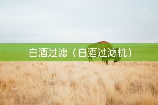 白酒过滤（白酒过滤机）