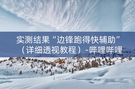 实测结果“边锋跑得快辅助”（详细透视教程）-哔哩哔哩