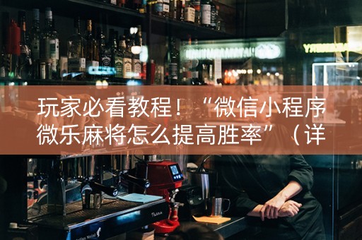 玩家必看教程！“微信小程序微乐麻将怎么提高胜率”（详细辅助教程）-哔哩哔哩