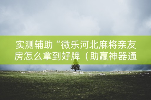 实测辅助“微乐河北麻将亲友房怎么拿到好牌（助赢神器通用版）