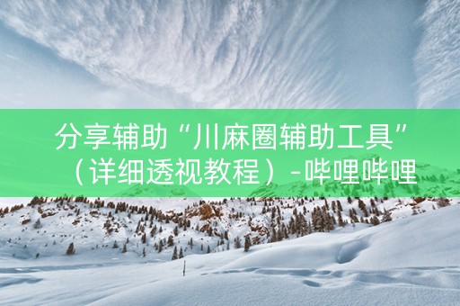 分享辅助“川麻圈辅助工具”（详细透视教程）-哔哩哔哩