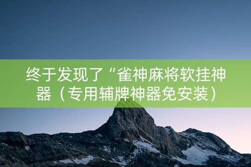 终于发现了“雀神麻将软挂神器（专用辅牌神器免安装）