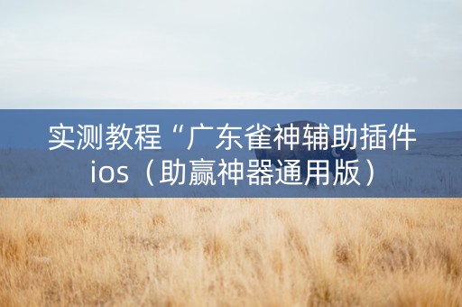 实测教程“广东雀神辅助插件ios（助赢神器通用版）