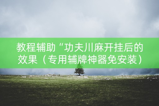 教程辅助“功夫川麻开挂后的效果（专用辅牌神器免安装）