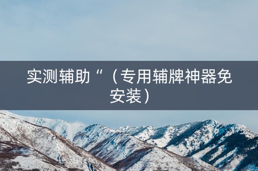 实测辅助“（专用辅牌神器免安装）