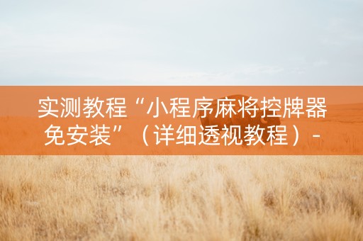 实测教程“小程序麻将控牌器免安装”（详细透视教程）-哔哩哔哩