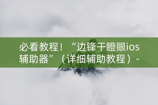 必看教程！“边锋干瞪眼ios辅助器”（详细辅助教程）-哔哩哔哩