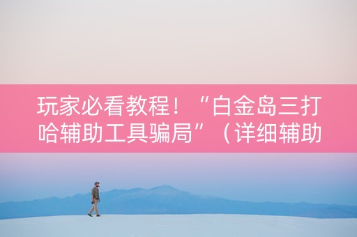 玩家必看教程！“白金岛三打哈辅助工具骗局”（详细辅助教程）-哔哩哔哩