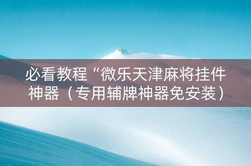 必看教程“微乐天津麻将挂件神器（专用辅牌神器免安装）