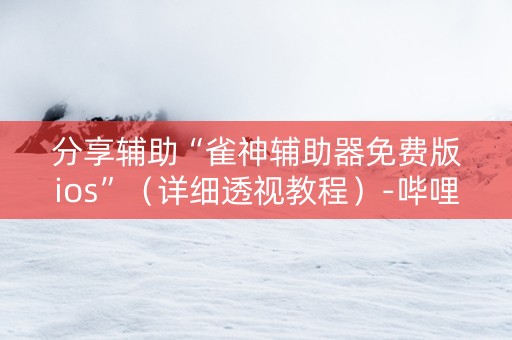 分享辅助“雀神辅助器免费版ios”（详细透视教程）-哔哩哔哩