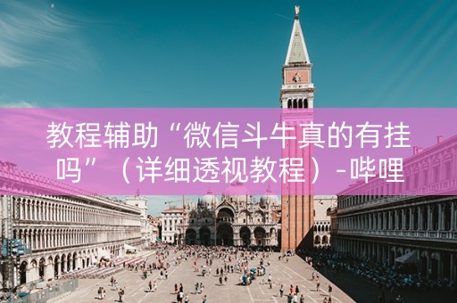 教程辅助“微信斗牛真的有挂吗”（详细透视教程）-哔哩哔哩