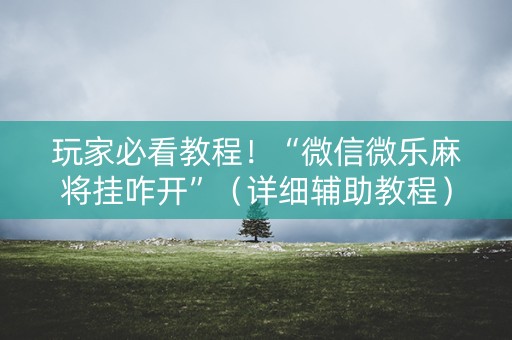 玩家必看教程！“微信微乐麻将挂咋开”（详细辅助教程）-哔哩哔哩