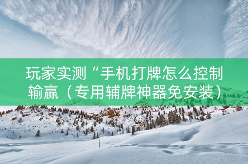 玩家实测“手机打牌怎么控制输赢（专用辅牌神器免安装）