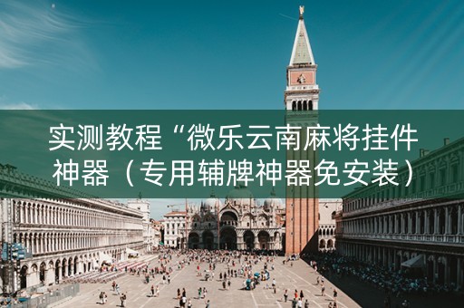 实测教程“微乐云南麻将挂件神器（专用辅牌神器免安装）