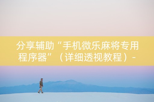 分享辅助“手机微乐麻将专用程序器”（详细透视教程）-哔哩哔哩
