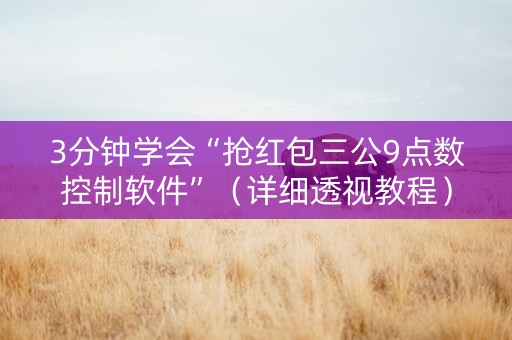 3分钟学会“抢红包三公9点数控制软件”（详细透视教程）-哔哩哔哩
