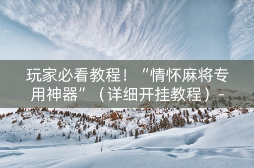 玩家必看教程！“情怀麻将专用神器”（详细开挂教程）-哔哩哔哩