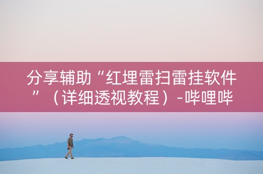 分享辅助“红埋雷扫雷挂软件”（详细透视教程）-哔哩哔哩