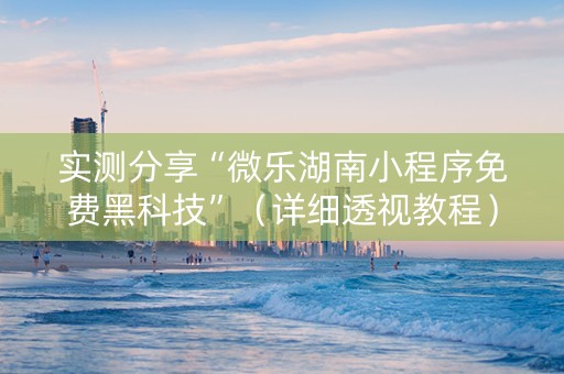 实测分享“微乐湖南小程序免费黑科技”（详细透视教程）-哔哩哔哩