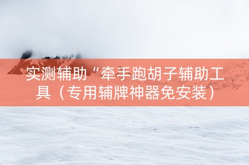 实测辅助“牵手跑胡子辅助工具（专用辅牌神器免安装）