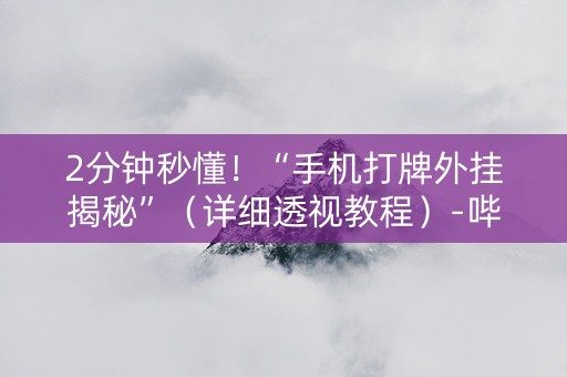 2分钟秒懂！“手机打牌外挂揭秘”（详细透视教程）-哔哩哔哩