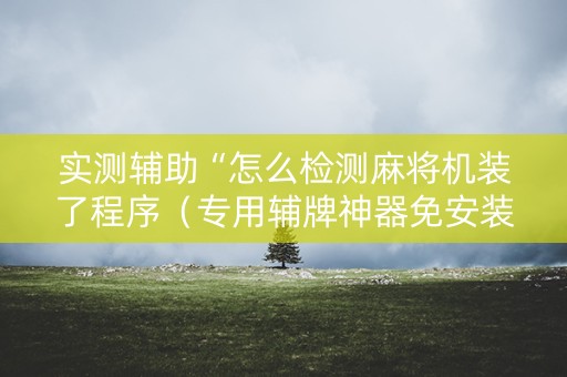 实测辅助“怎么检测麻将机装了程序（专用辅牌神器免安装）