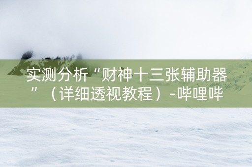 实测分析“财神十三张辅助器”（详细透视教程）-哔哩哔哩