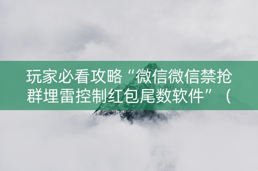 玩家必看攻略“微信微信禁抢群埋雷控制红包尾数软件”（详细透视教程）-哔哩哔哩